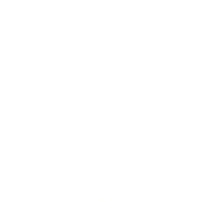 Pizza Boa